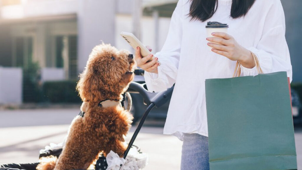 girl with a dog in mall