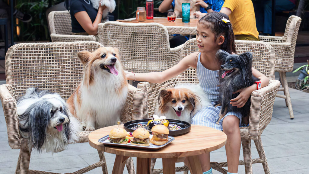 Girl sitting with dog in cafe