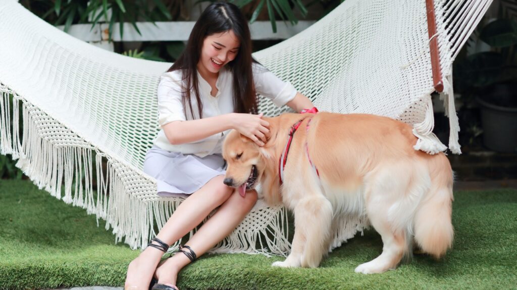 girl petting a dog
