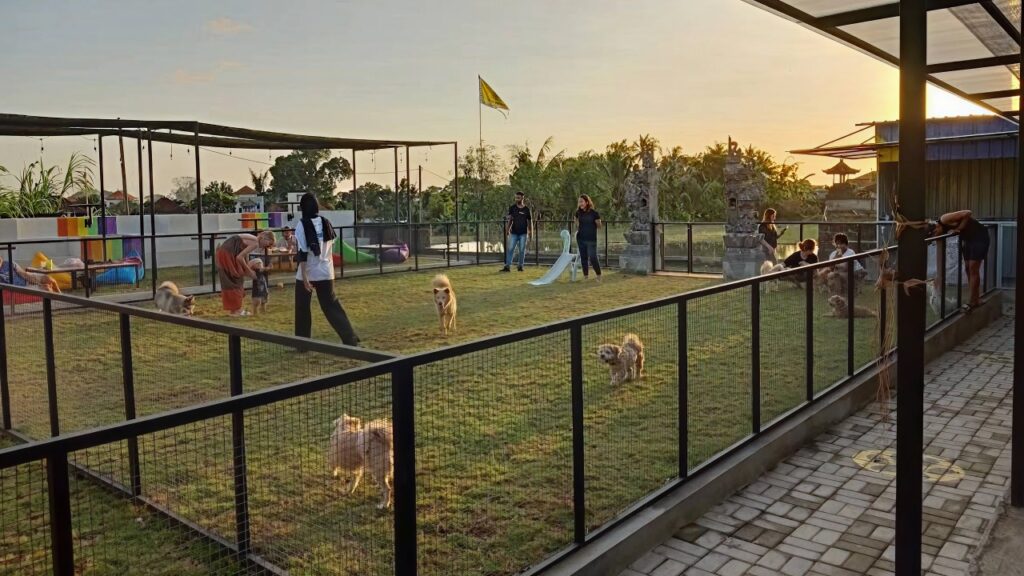 Barking Lot Bali