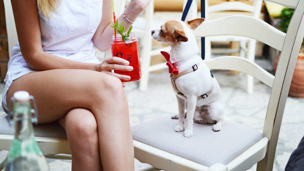 girl with dog sitting in restaurant
