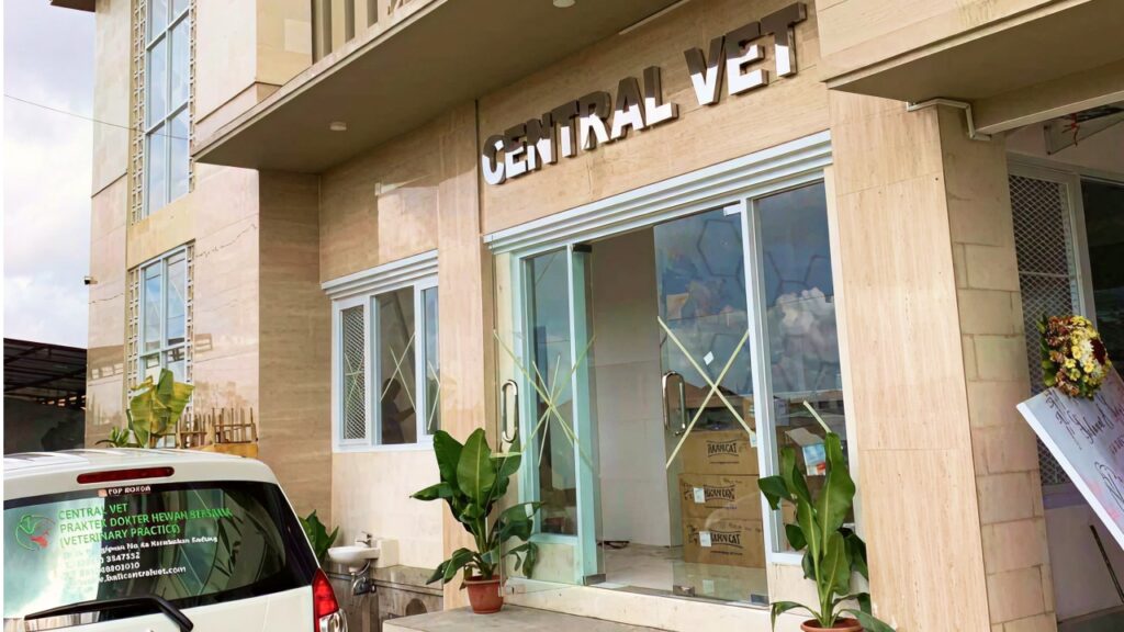 Central Vet