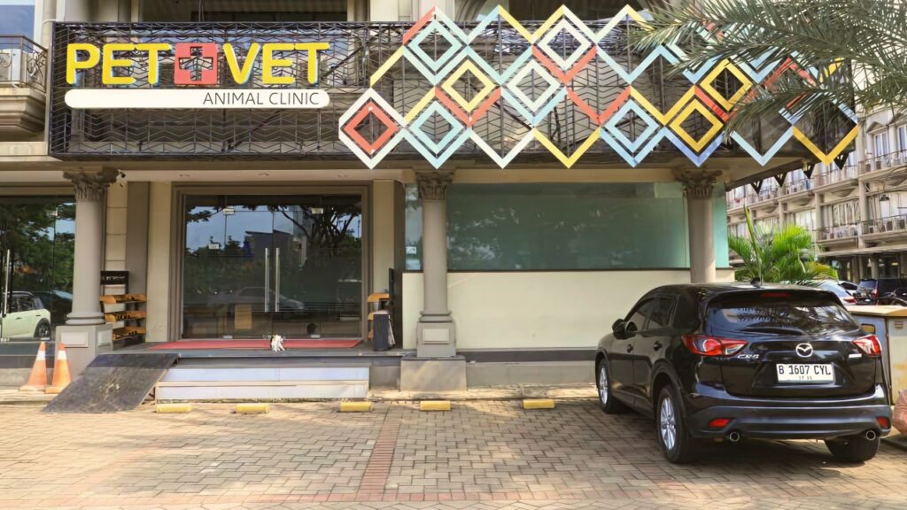 PET+VET Animal Clinic