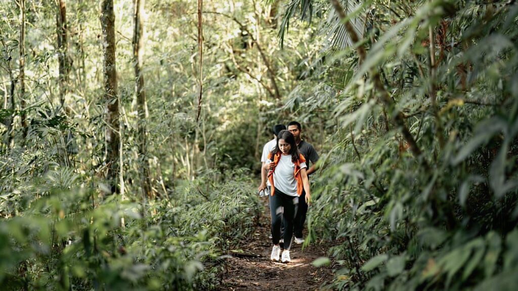 Tamblingan Area Characteristics and Terrain
