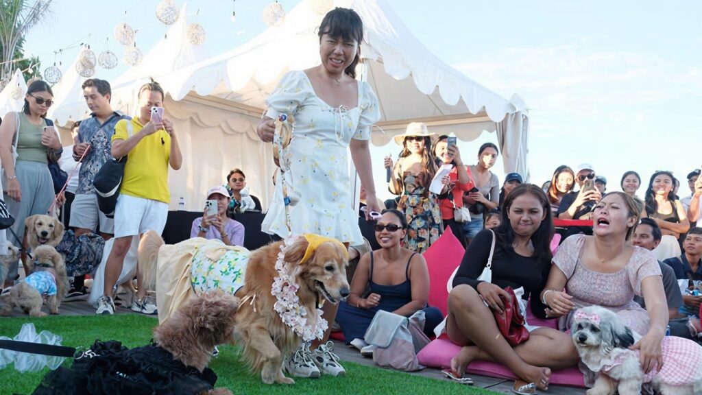 Pet Pageants