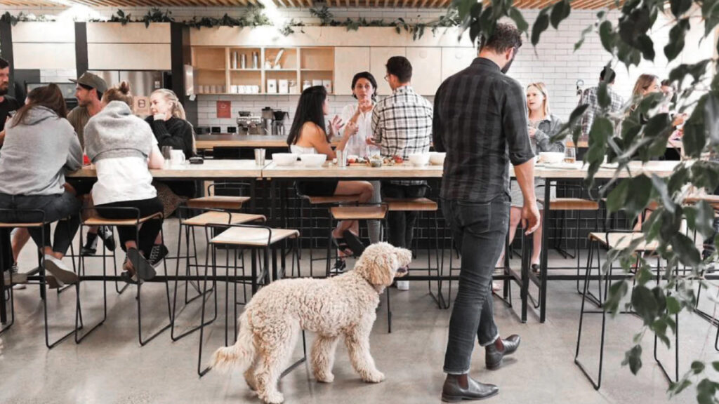 Pet-Friendly Coworking Spaces